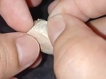 Casually Tears Open A Spider Sack WTF
