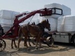 Check Out This Amish Forklift
