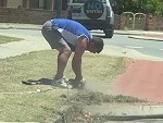 Circular Saw For Edging The Lawn No Worries
