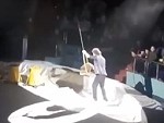 Circus Animal Goes Off Script
