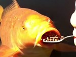 Civilised Fish Eats With A Fucking Spoon
