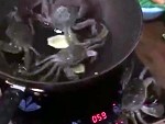 Clever Crab Save His Mates From Becoming Dinner
