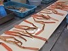 Crab Leg Packing Plant Is Just Fascinating