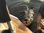 Crocodile Has A Crack At Some Fishermen
