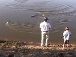 Crocodile Takes Out A Passing Boat
