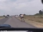 Cyclist Takes A Poorly-Timed Tumble
