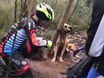 Cyclists Discover A Dog Tied To A Tree In The Forest
