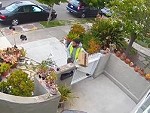 Delivery Guy Has A Why The Fuck Not Moment
