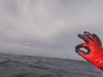 Diver Has A Scary Encounter
