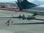 Dog Gets Loose On The Tarmac
