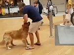 Dog Just Doesn't Trust The Escalator
