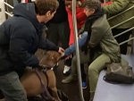 Dog Tries To Eat A Woman On The NYC Subway
