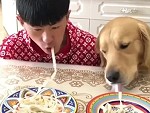 Dogs Fucking Love Pasta
