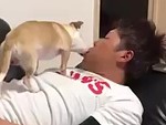 Dogs Gives Its Owner Some Love While He's Fast Asleep
