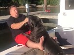 Don't Tease Dogs With Food On Boats
