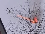 Drone Called In To Destroy A Hornets Nest
