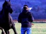 Drone Operator Pays For Spooking The Horse
