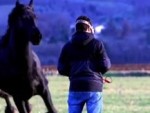 Drone Operator Pays For Spooking The Horse
