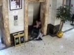 Drunk Guys Fall Down An Elevator Shaft And Don't Die

