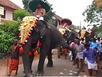 Elephant Gives An Old Dude The Boot
