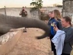 Elephant Says No Photos Please
