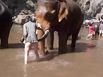 Elephants Wasn't In The Mood For Tourists Today
