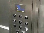 Elevator Weighs In On Westham This Season

