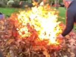 Exploding Leaves In Slomo
