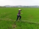 Farmer Kind Of Terrified By A UFO
