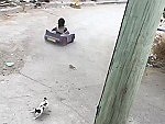 Favela Mario Kart
