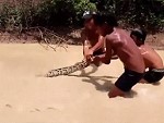 Fearless Little Dudes Pull A Large Snake From The River
