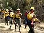 Fire Fighters Patrolling And Singing In The Woods
