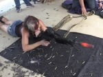 Fires Until The Barrel Glows Red

