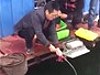 Fisherman Reels In A Huge Fish On Tiny Gear
