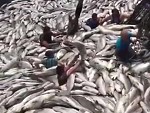 Fishermen Are Def Going To Stink Like Fish Later
