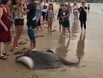 Fishermen Come Under Attack From Beach Jerks
