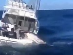 Fishermen Hauling In An Absolute Monster
