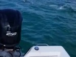 Fishermen Treated To An Amazing Show

