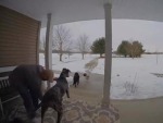 Forgot To Factor Dogs Strength
