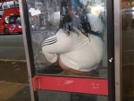 Fucking Animal Shitting In A Phonebooth
