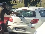 Fuckwit Smashing Up Windscreens IDK Why
