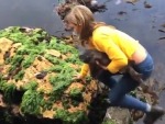 Girl Rescues A Shark From The Tide
