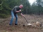 Good Guy Bravely Helps A Wolf Caught In A Trap
