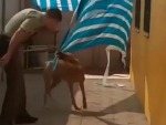 Good Guy Cop Gets A Doggie Hug
