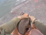 Good Guy Helps Out A Seal
