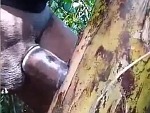 Some Guy Sawing Down A Tree
