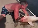 Hammerhead Tries To Bite A Guys Arm Off
