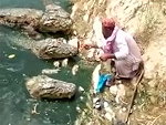 Hand Feeding Crocodiles In Pakistan
