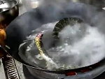 Headless Snake In The Wok Is Just Wow
