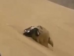 Hits Eject During A Dunes Rollover
